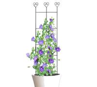 de jardin - Treillis métallique pour grimpantes de jardin, accessoires de jardinage en métal pour vis et d'intérieur