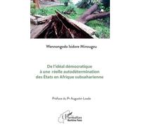 De l’idéal démocratique à une réelle autodétermination des États en Afrique subsaharienne - Augustin Loada - L'harmattan - broché - Essai