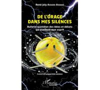 De l’orage dans mes silences Bulletin quotidien des idées et débats qui éveillent mon esprit - René Joly Assako Assako - L'harmattan - broché - Roman