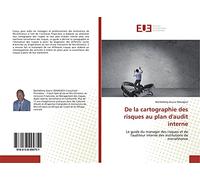 De la cartographie des risques au plan d'audit interne: Le guide du manager des risques et de l'auditeur interne des institutions de microfinance