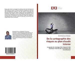 De la cartographie des risques au plan d'audit interne: Le guide du manager des risques et de l'auditeur interne des institutions de microfinance