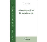 De la mobilisation du fait à la réalisation du droit - Maxime Lei - L'harmattan - broché - Etude