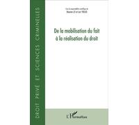 De la mobilisation du fait à la réalisation du droit - Maxime Lei - L'harmattan - broché - Etude