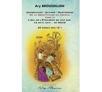 De La Nègattitude Au Travail - Tome 2, L'oeil De L'étranger Ne Voit Que Ce Qu'il Sait? De Nous - Sé Konsa Nou Yé ?