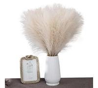 de la pampa Lot de 2 fleurs séchées naturelles de pampa artificielles hautes en imitation bohème | de la pampa synthétique élégante et moelleuse, roseau pour remplir des vases, décoration