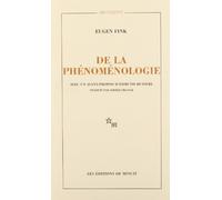 De la phénoménologie