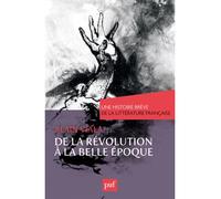 De la Révolution à la Belle Époque. Une histoire brève de la littérature française Une histoire breve de la litterature francaise - Alain Viala - Puf - broché - Essai