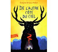 DE L'AUTRE COTE DU CIEL