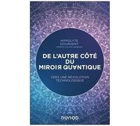 De L'autre Côté Du Miroir Quantique
