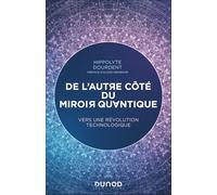 De L'autre Côté Du Miroir Quantique - Vers Une Nouvelle Ère Technologique