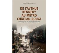 De l'avenue Kennedy au métro Château-Rouge Chroniques du monde d'en-bas - François-Xavier Akono - L'harmattan - broché - Roman