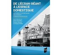De l'écran géant à l'espace domestique Simon Daniellou (Auteur), Roxane Hamery (Auteur), Grégory Wallet (Auteur)