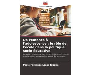 De l'enfance à l'adolescence : le rôle de l'école dans la politique socio-éducative: La vérité « nue et crue » sur les adolescents délinquants brésiliens dans les écoles fermées de Rio de Janeiro