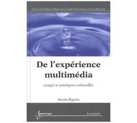 De L'expérience Multimédia - Usages Et Pratiques Culturelles