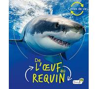 De l'oeuf au requin