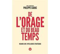 De l'orage et du beau temps - Regards sur l'intelligence stratégique