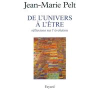 De l'univers à l'être : réflexion sur l'évolution