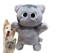 De Lutte Pour Chat Design En Forme De Sécurisé