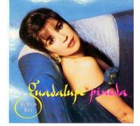 De Nuevo Sola by Pineda, Guadalupe (1993-07-27)