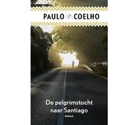 De pelgrimstocht naar Santiago: dagboek van een magiër