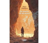 DE PIERRE ET DE PIXEL: De la pierre taillée à l’intelligence artificielle Comprendre notre vertige