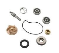 de Pompe à Eau de Moto Kit de réparation de pompe à eau, adapté pour Piaggio, Beverly MP3 Carnaby 250, X7, X8, X9, 300cc