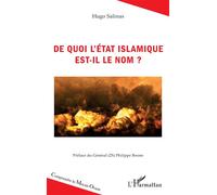 De quoi l'État islamique est-il le nom ? - Hugo Salinas - L'harmattan - broché - Essai
