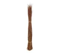 De Saule naturel avec une hauteur de 160 cm, diamètre env. 10-15 cm