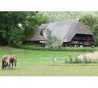 De Strasbourg : Excursion d une journée en Forêt-Noire
