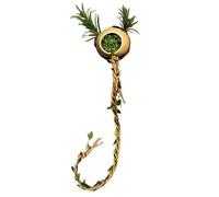 De Terrarium Pour Araignée Sauteuse Décoration Magnétique Amusante