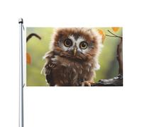 De Très Mignons Bébés Hiboux Drapeau De Jardin Double Face Drapeau De Festival Imprimé Décoration Bannière 90X150Cm Pour Clubs Toutes Les Saisons Chambres