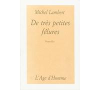 De très petites fêlures