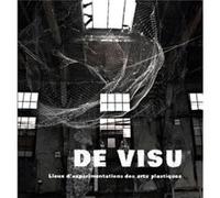 : DE VISU Lieux d’expérimentations des arts plastiques Collectif (Auteur)