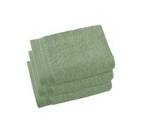 De Witte Lietaer Contessa Serviettes pour invités, Cotton, Sea Green, 340x60 cm