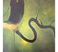 Dead Can Dance: The Serpent's Egg GERMAN RTD 92 [Vinyl LP]