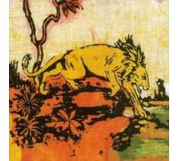 Dead Fly Buchowski - Land of the Rough