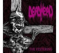 Dead Head - Festering