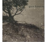 Dead in The Wood [Japanese [UK Import]