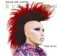 Dead Or Alive - Evolution: Best of