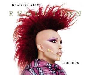 Dead Or Alive - Evolution: The Hits