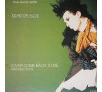 Dead Or Alive - Lover Come Back To Me (Extended Remix) - Epic - EPCA 14-6086, Epic - A 14-6086