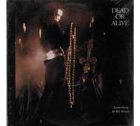 Dead Or Alive - Something In My House [Vinyl Single]
