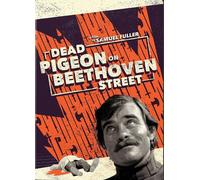 Dead Pigeon on Beethoven Street