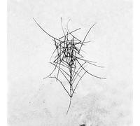 Dead Raven Choir - Schmerzensgewalt