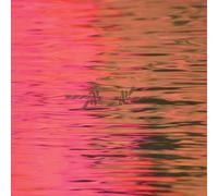 Dead Reflection