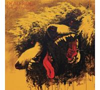 DEAD RIDER - CHILLS ON GLASS VINYL LP NEUF