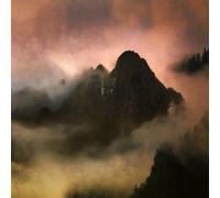 Dead to a Dying World Elegy (Vinyl) 12" Album