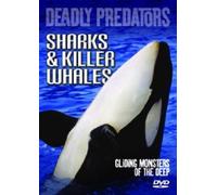 Deadly Predators - Sharks and Killer Whales