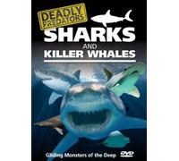 Deadly Predators Sharks Killer Whale [Edizione: Regno Unito] [Import]
