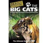 Deadly Predators The Big Cats [Edizione: Regno Unito] [Import]